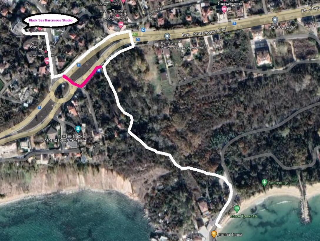 Black Sea Narcissus - Quiet Studio With Amazing Sea View Varna Extérieur photo